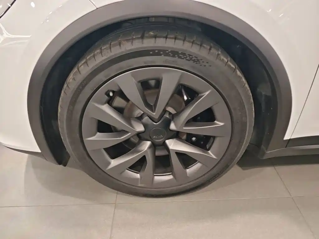 Tesla Model X — миниатюра 23