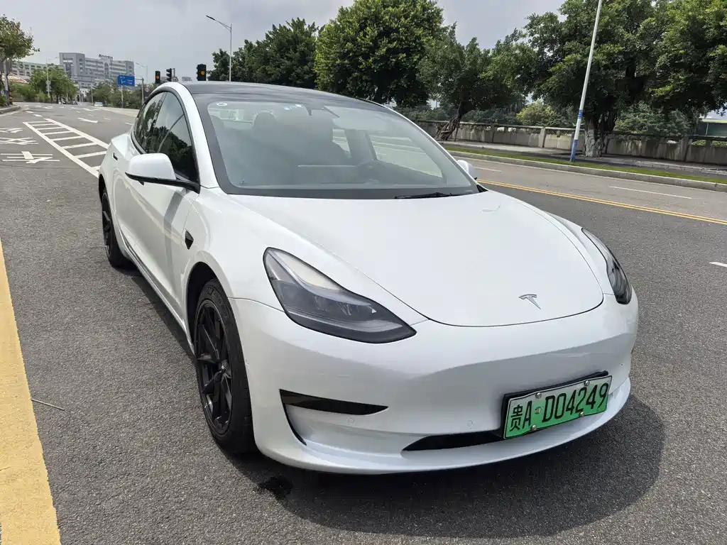 Tesla Model 3 2021 3D1