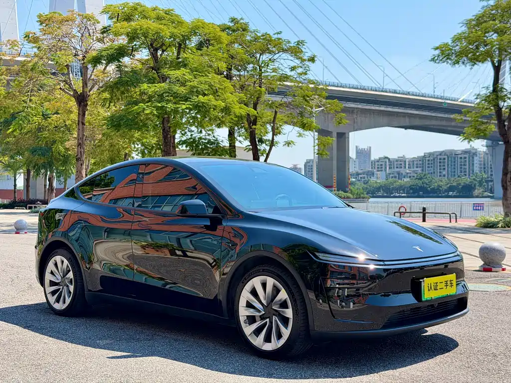 Tesla Model Y — миниатюра 7