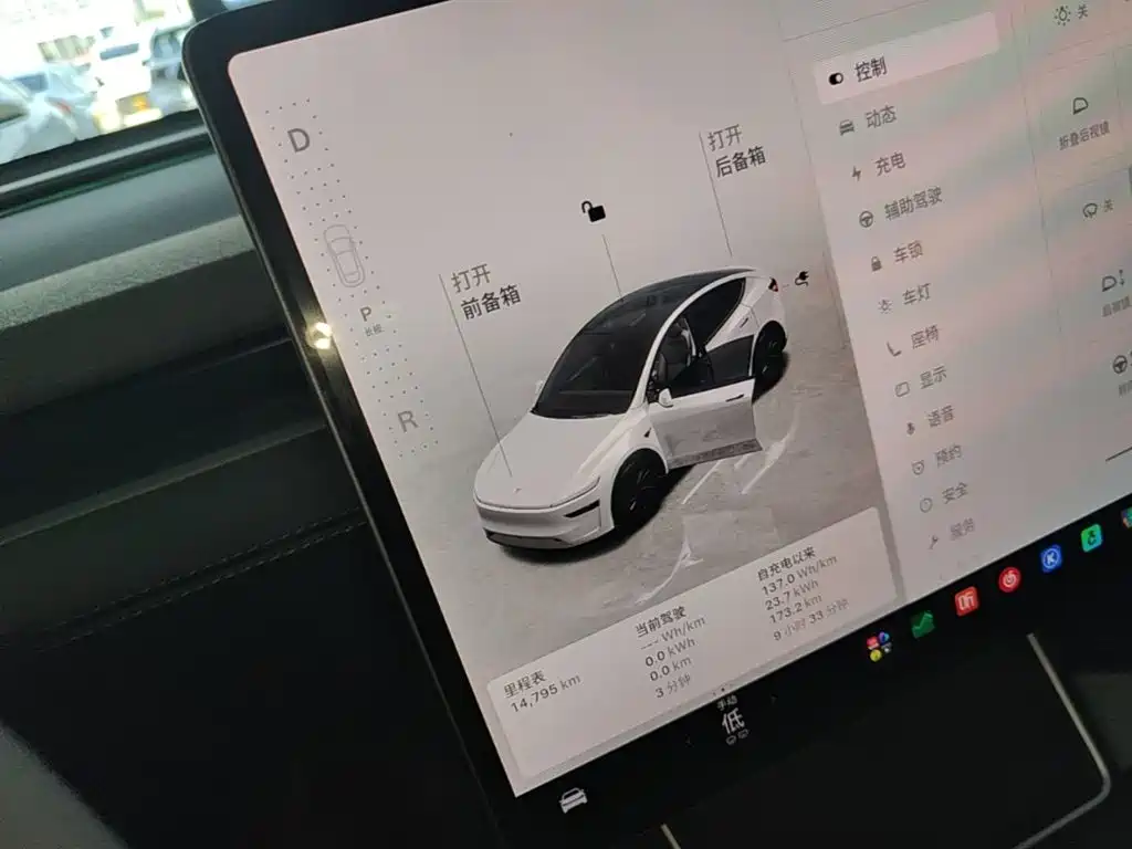 Tesla Model Y — миниатюра 14