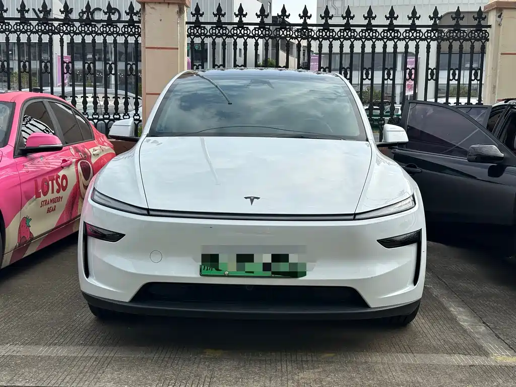 Tesla Model Y L — миниатюра 2