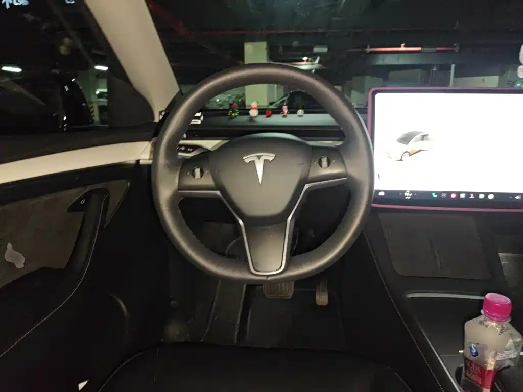 Tesla Model Y — миниатюра 6