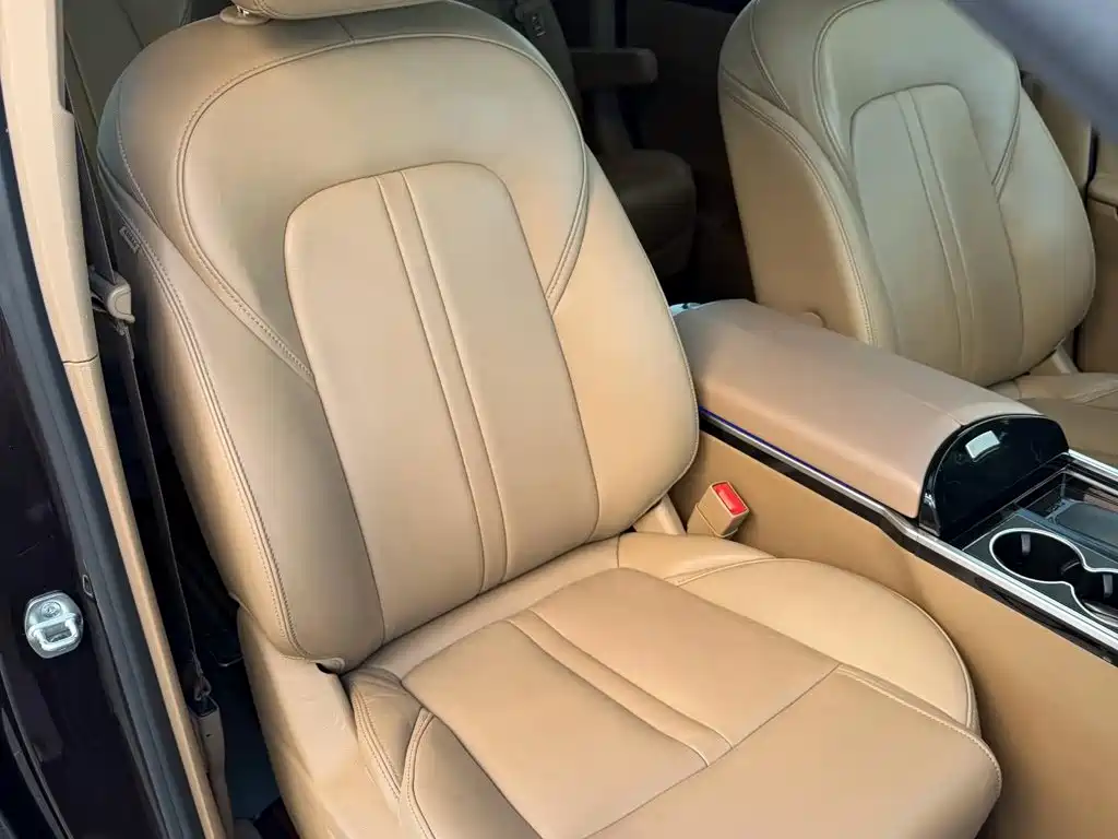 Buick GL8 — миниатюра 7
