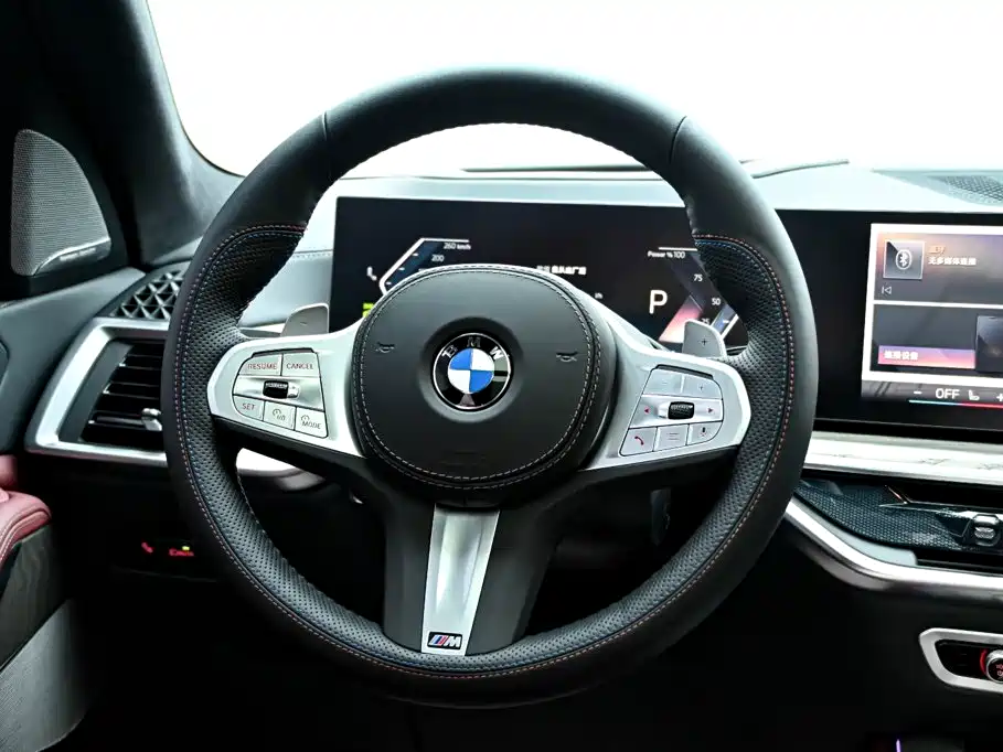 BMW X5 — миниатюра 19