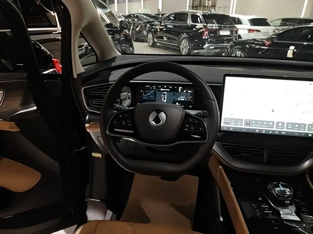 Denza Denza D9 — миниатюра 11