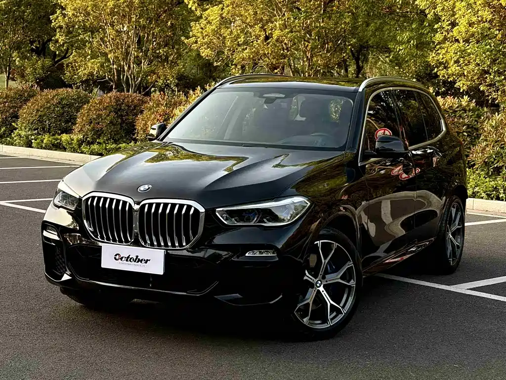 BMW X5 (Import) 2021