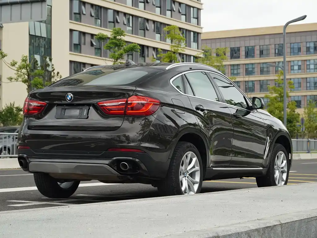 BMW X6 — миниатюра 18