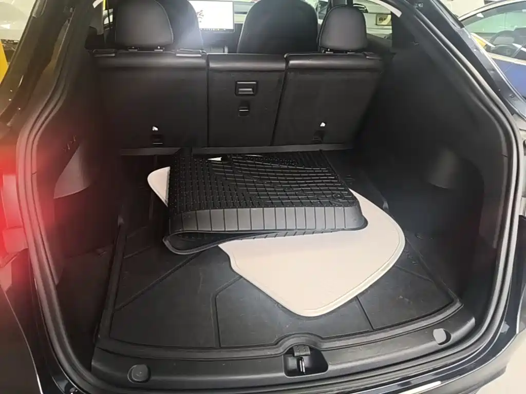 Tesla Model Y — миниатюра 19