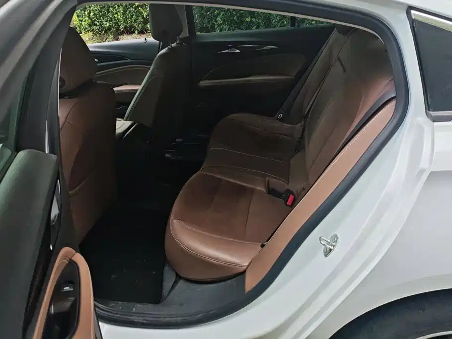 Buick Regal — миниатюра 11