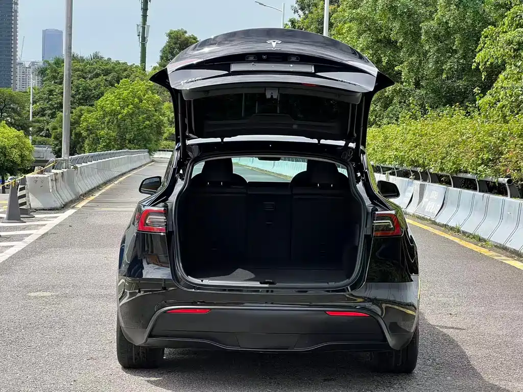Tesla Model Y — миниатюра 18
