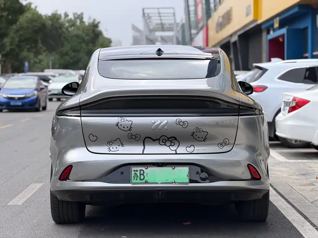 IM IM LS6 — миниатюра 4