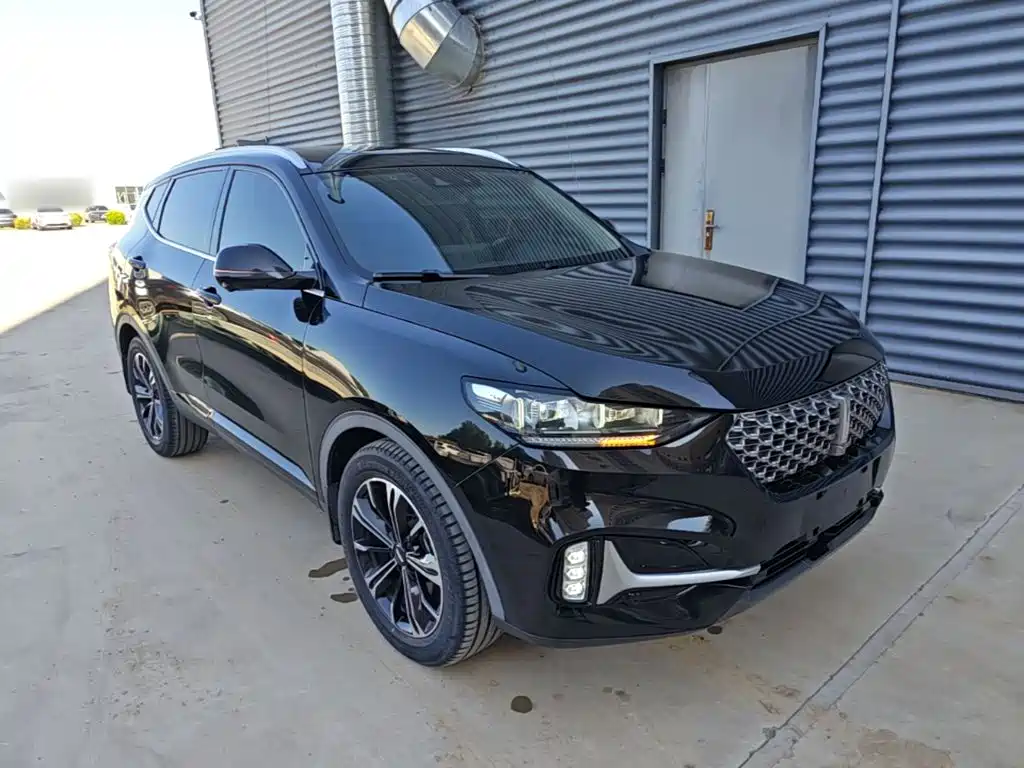 Wey Wey VV6 — миниатюра 4