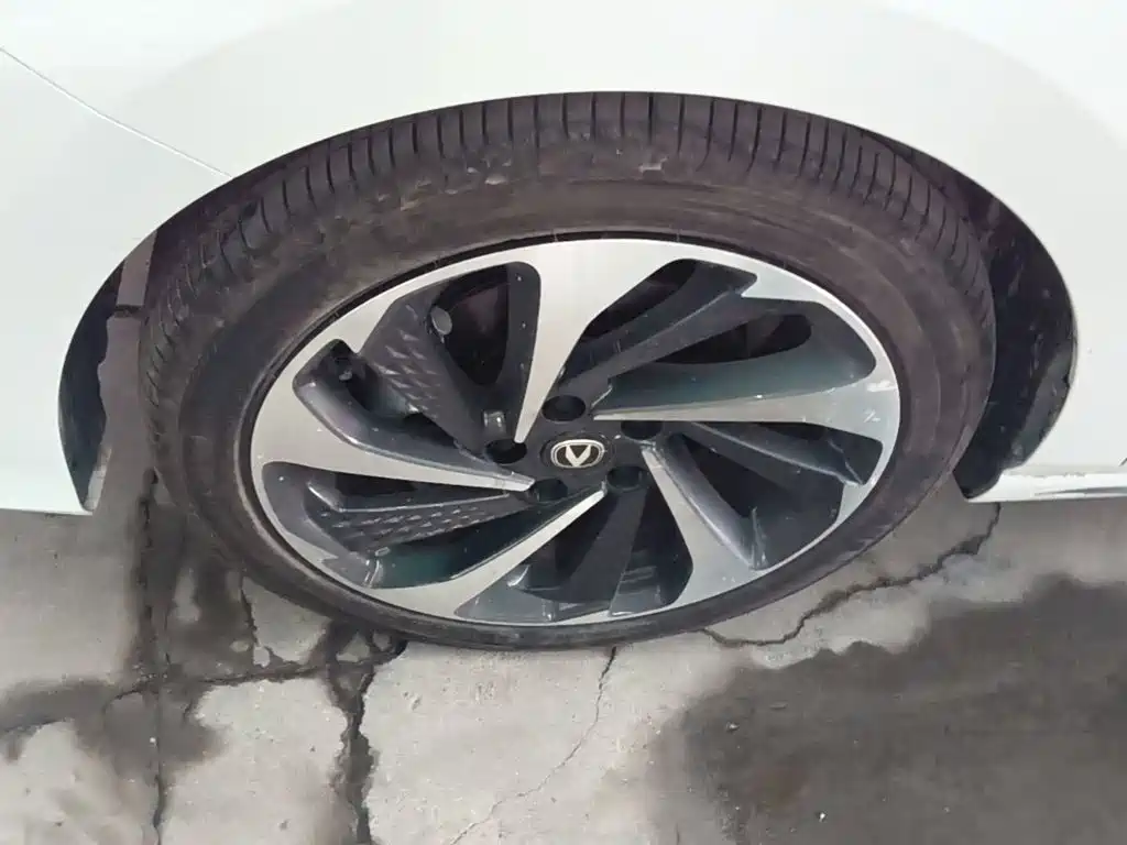 Changan Ruicheng PLUS — миниатюра 23