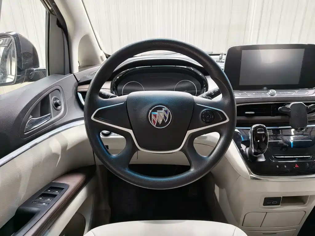 Buick GL8 — миниатюра 16
