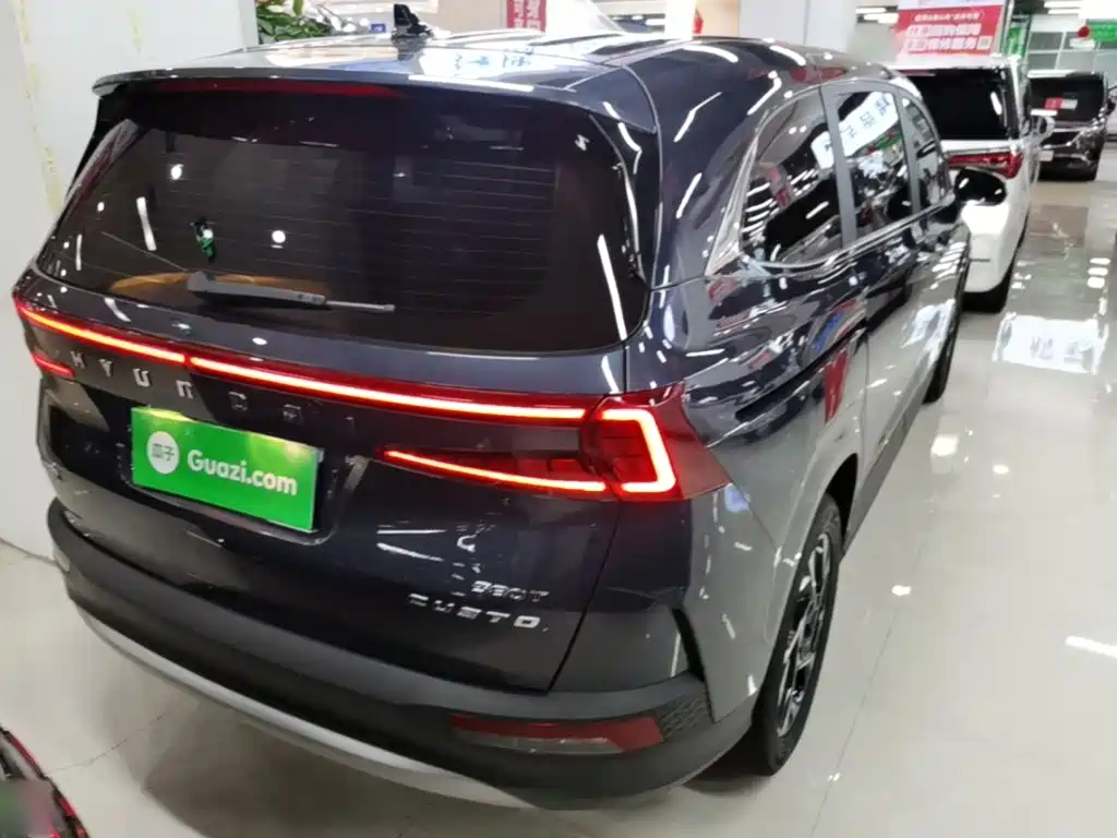 Hyundai Custo — миниатюра 7
