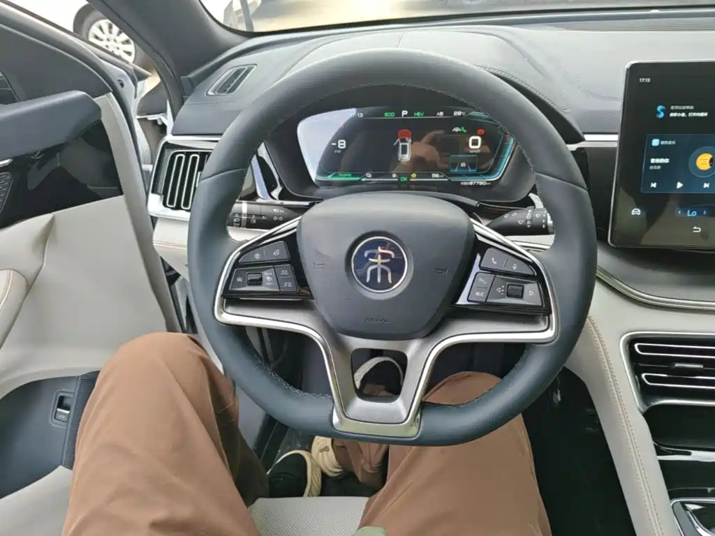 BYD PLUS New Energy — миниатюра 11