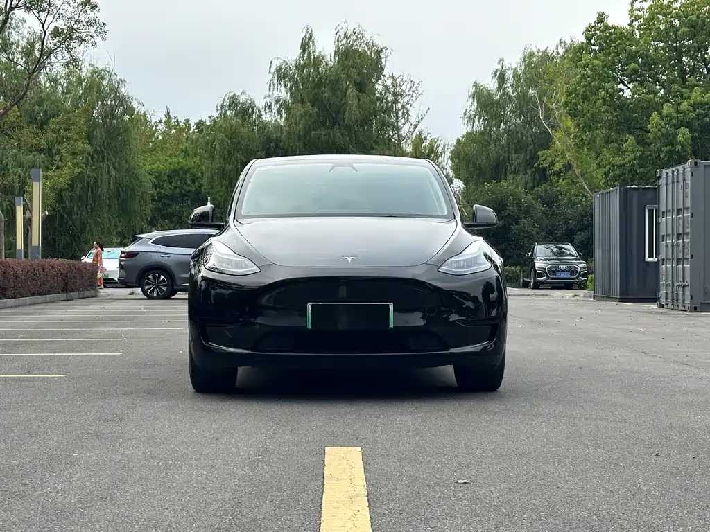 Tesla Model Y — миниатюра 2