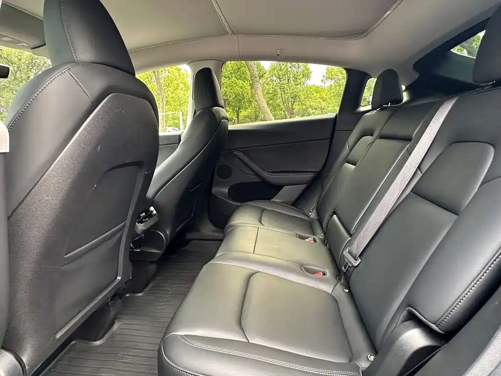 Tesla Model Y — миниатюра 20