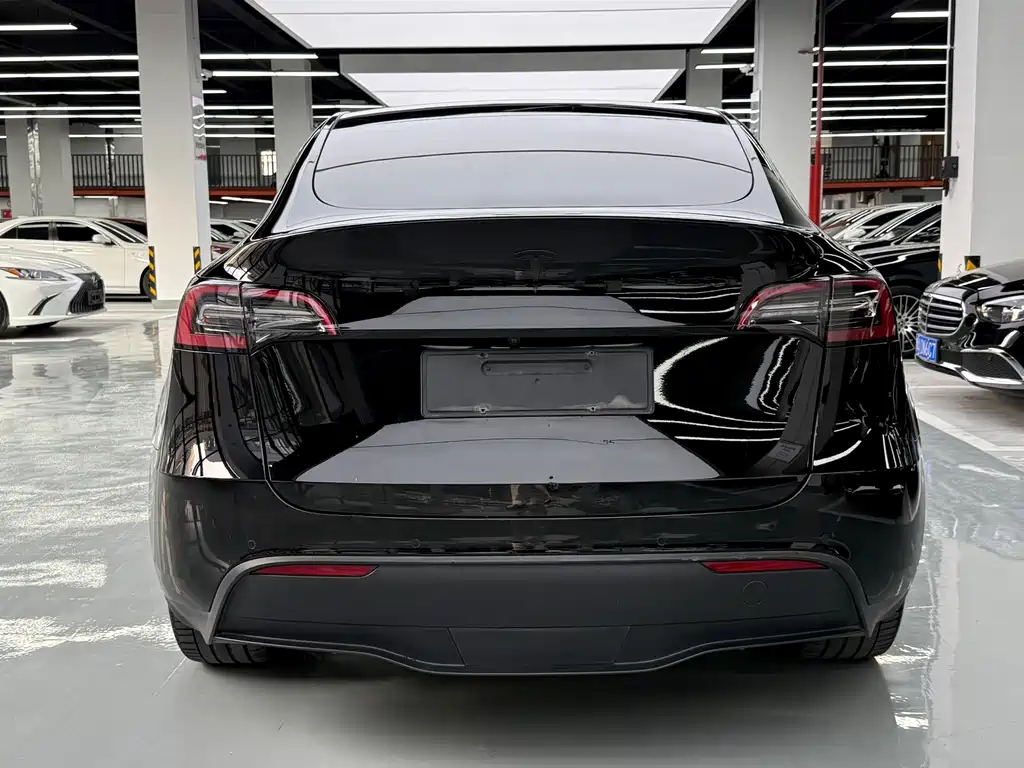 Tesla Model Y — миниатюра 15