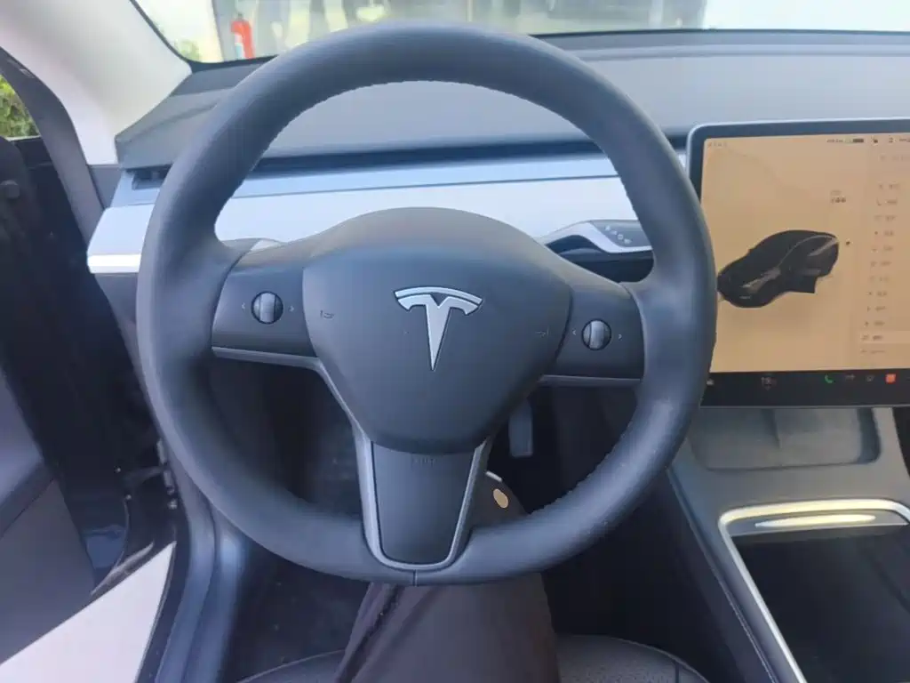 Tesla Model Y — миниатюра 11