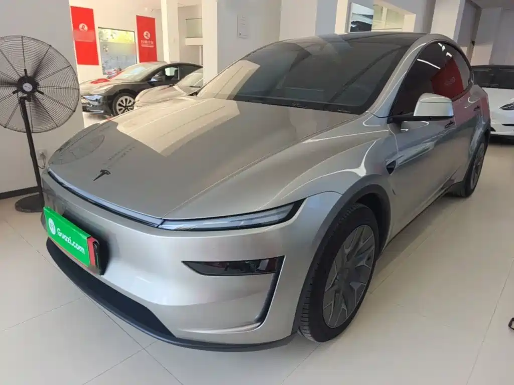 Tesla Model Y L — миниатюра 2