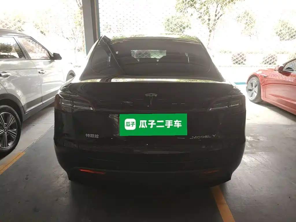 Tesla Model Y — миниатюра 6