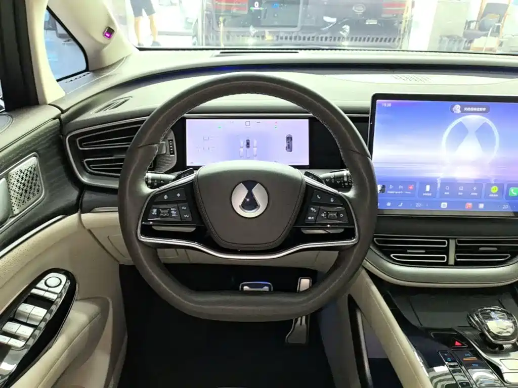 Denza Denza D9 — миниатюра 11