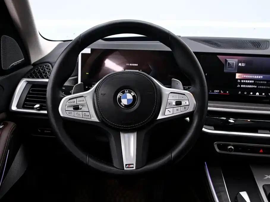 BMW X5 — миниатюра 7