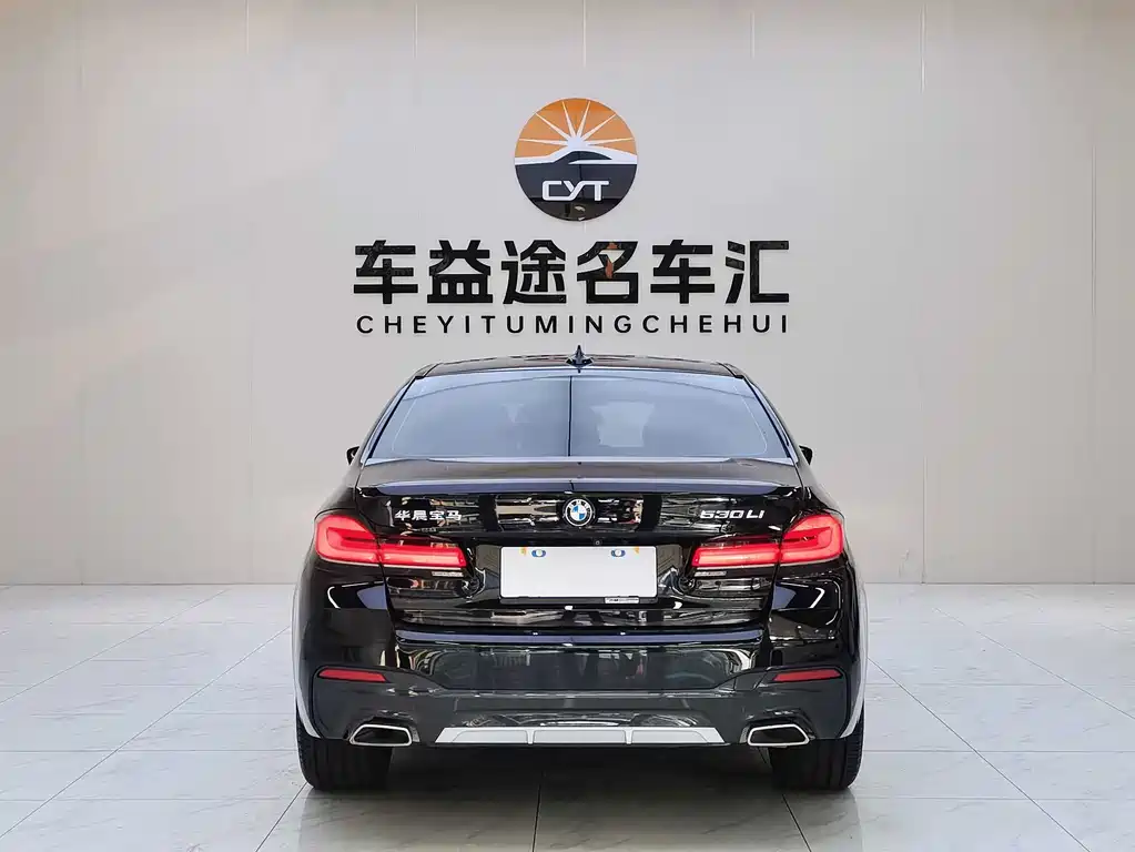 BMW 5 Series — миниатюра 5