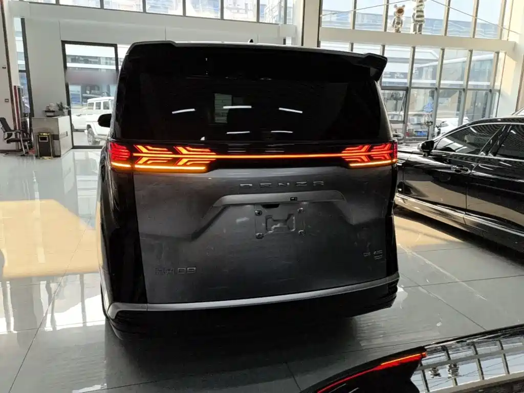 Denza Denza D9 — миниатюра 6