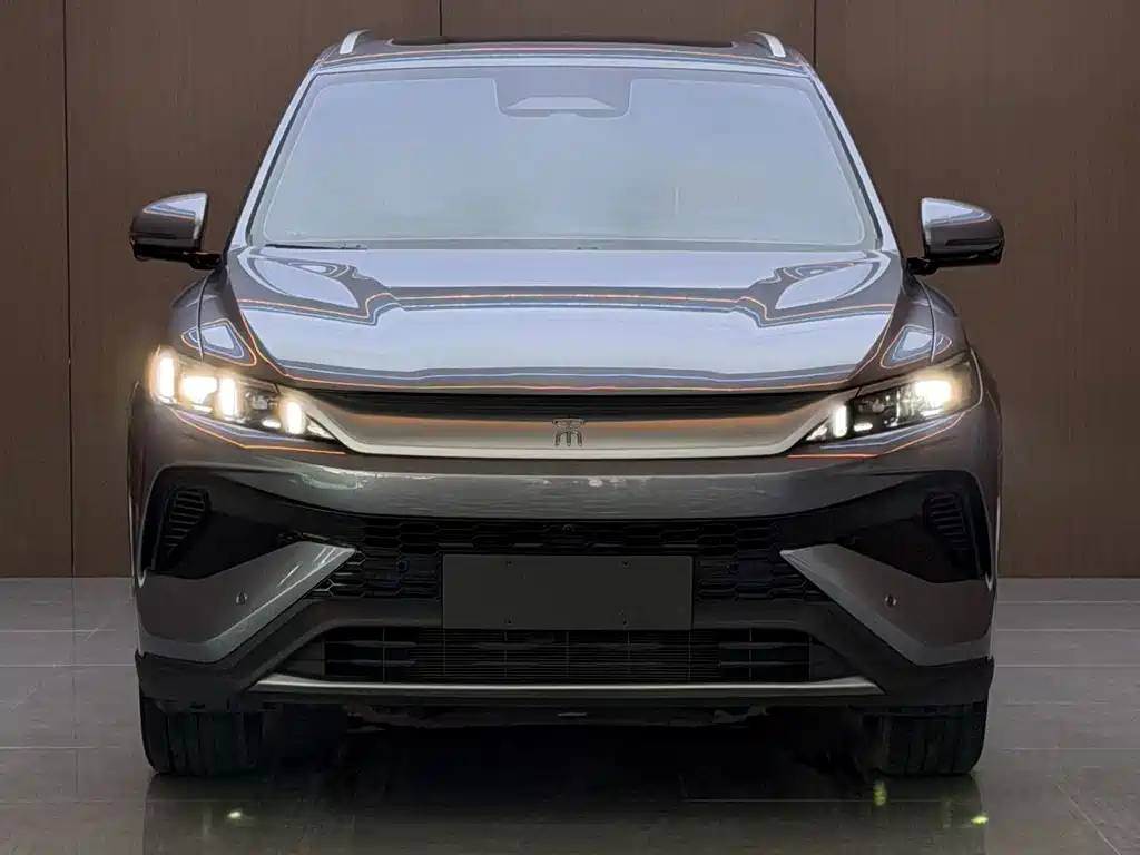 BYD Pro New Energy