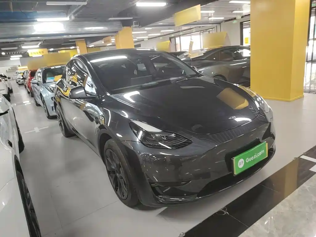 Tesla Model Y — миниатюра 4