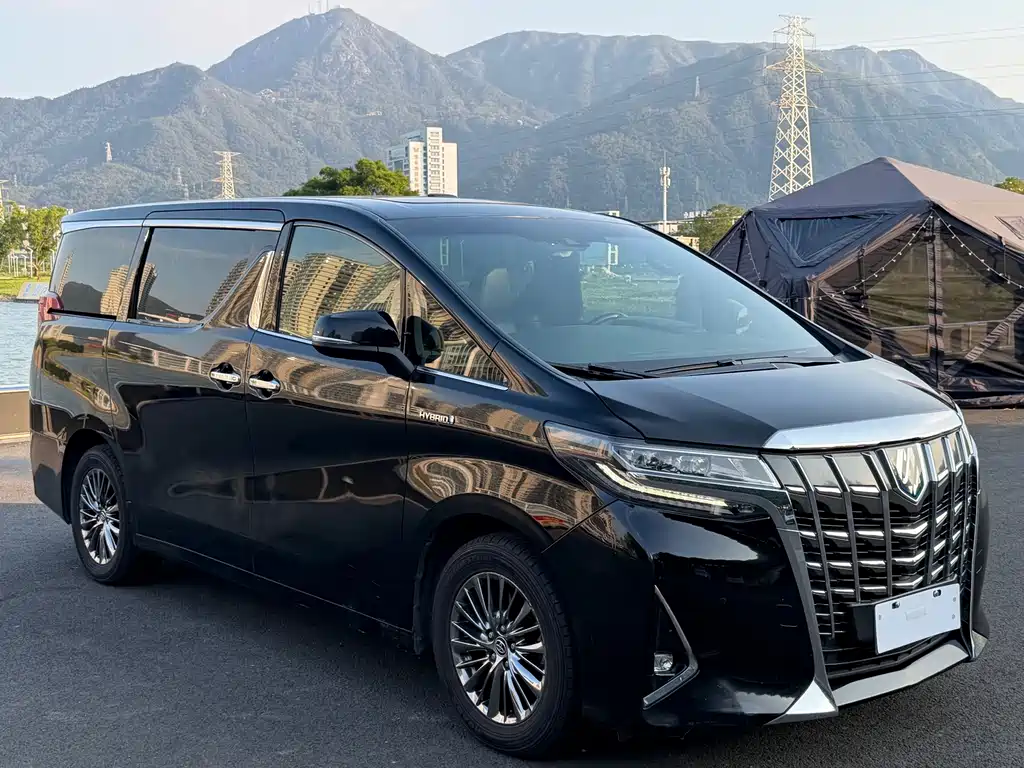 Toyota Alphard — миниатюра 3