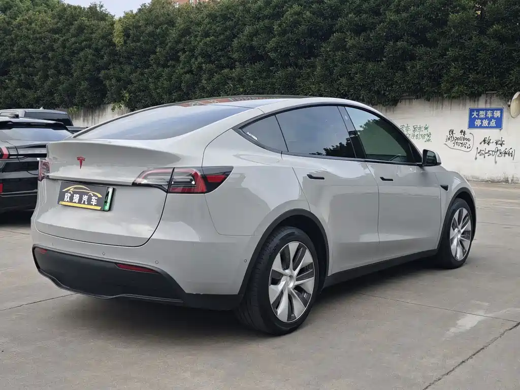 Tesla Model Y — миниатюра 4