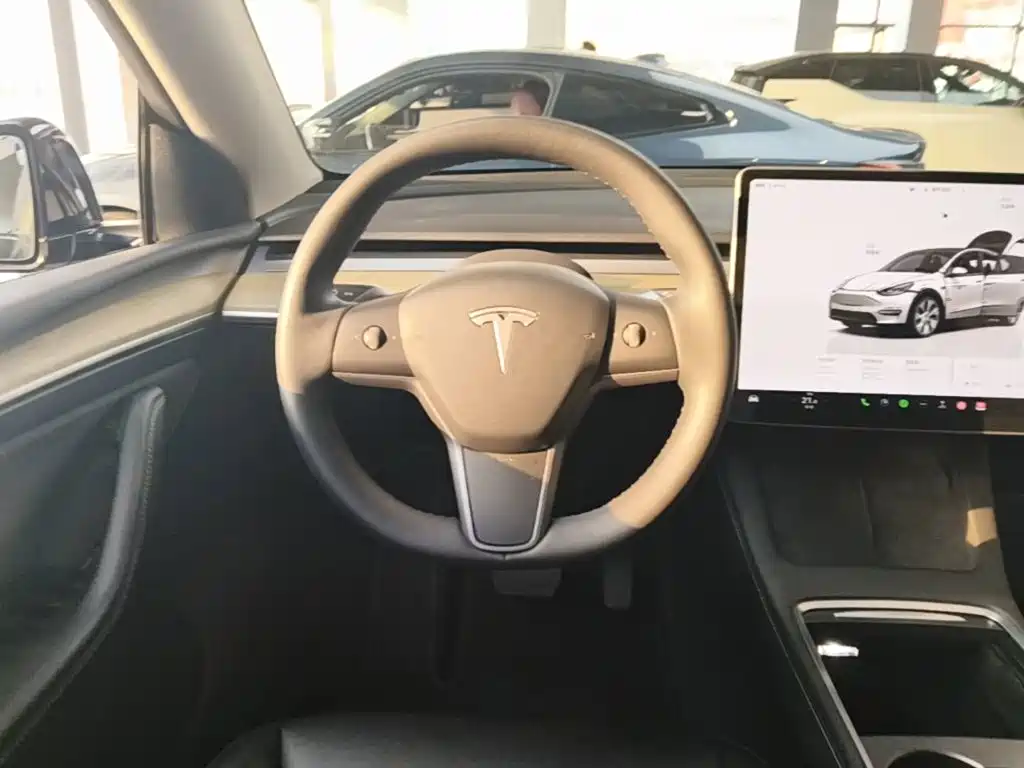 Tesla Model Y — миниатюра 11