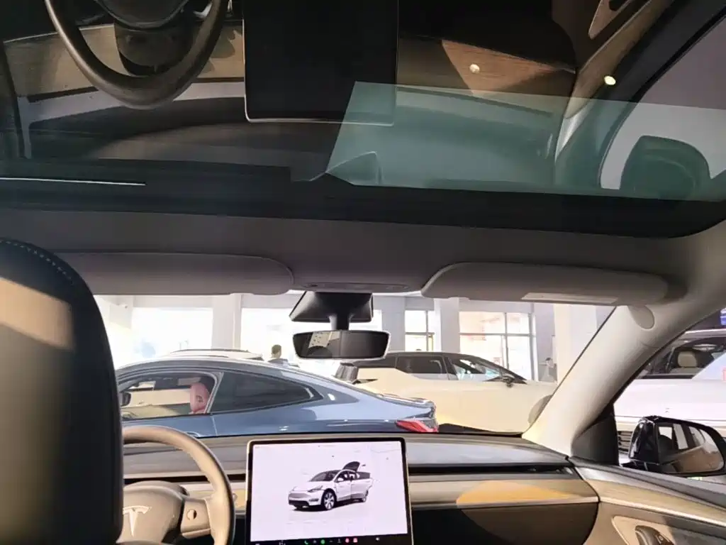 Tesla Model Y — миниатюра 18