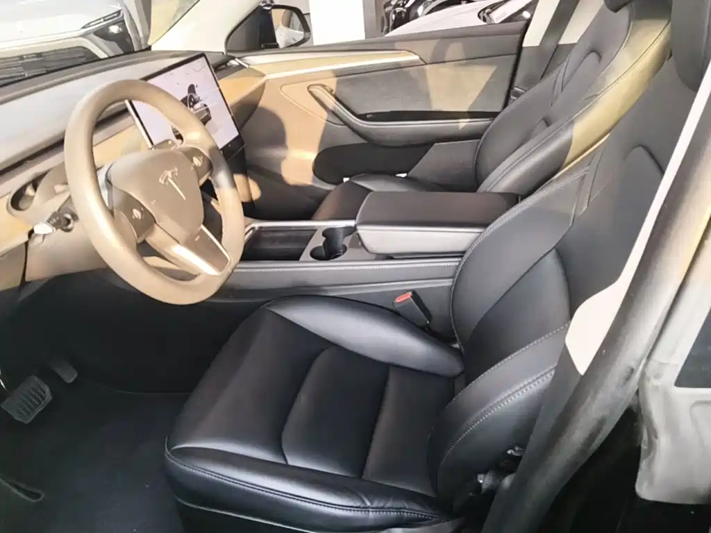 Tesla Model Y — миниатюра 15