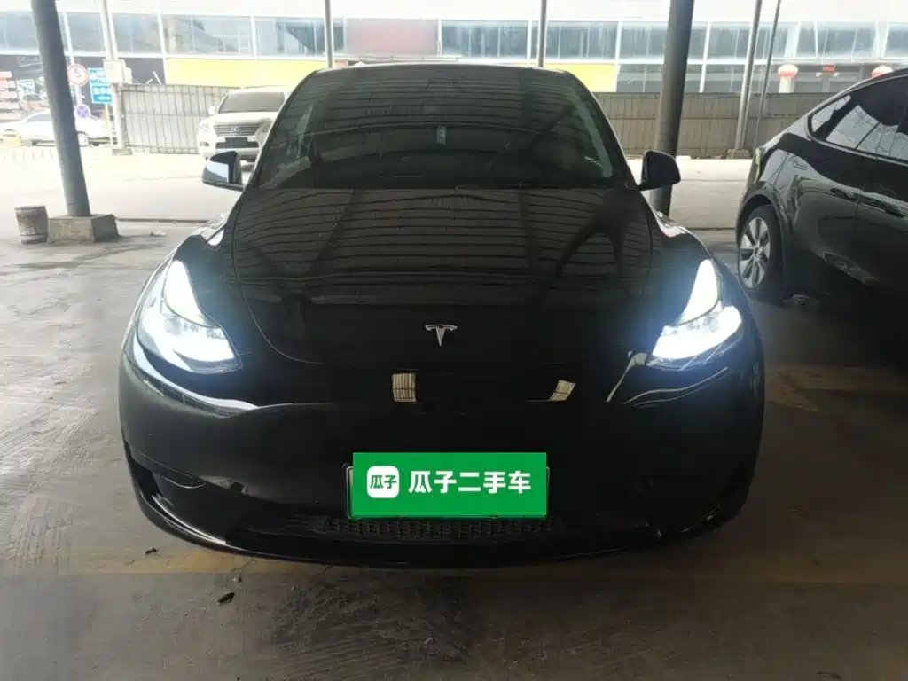 Tesla Model Y — миниатюра 3