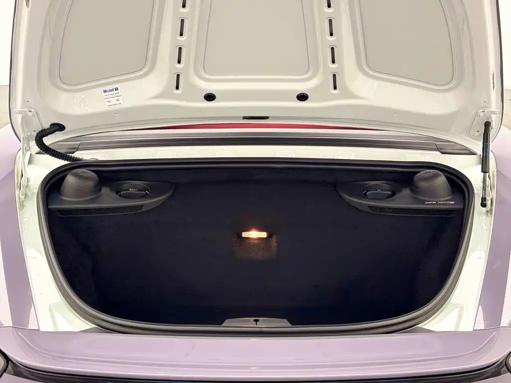 Porsche 718 — миниатюра 14