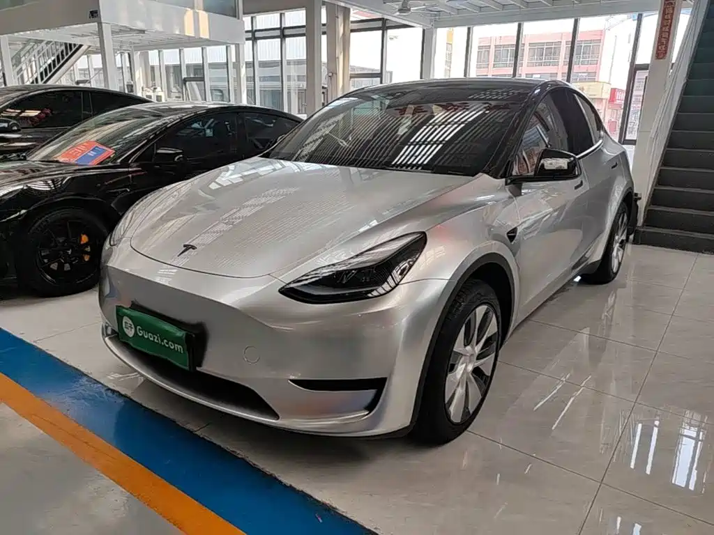 Tesla Model Y — миниатюра 2