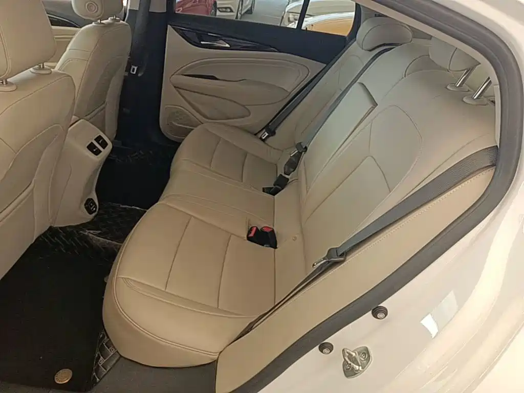 Buick Regal — миниатюра 17