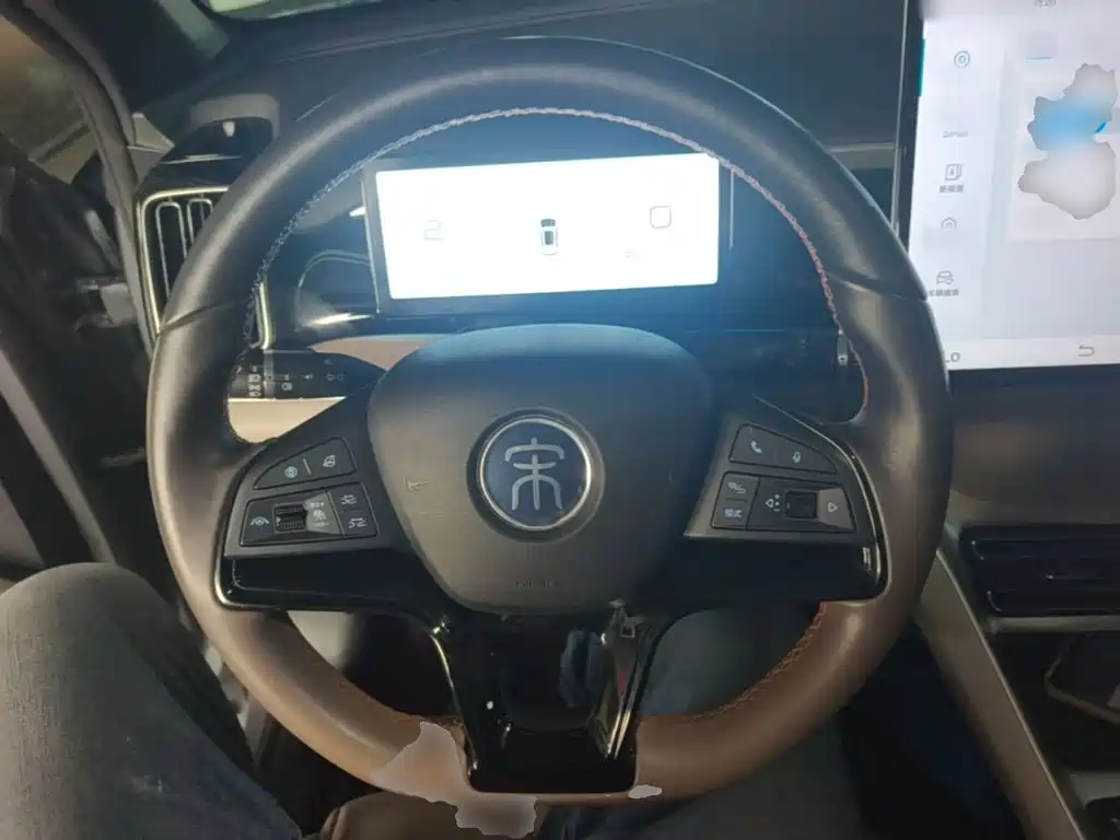 BYD Pro New Energy — миниатюра 11