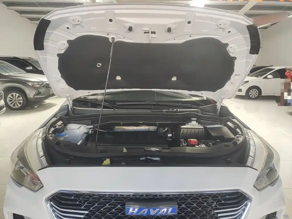 Haval M6 — миниатюра 20