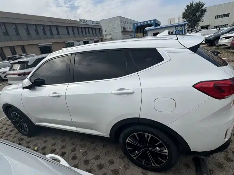 Wey Wey VV6 — миниатюра 25
