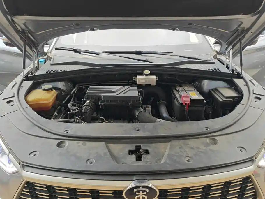 BYD PLUS — миниатюра 10