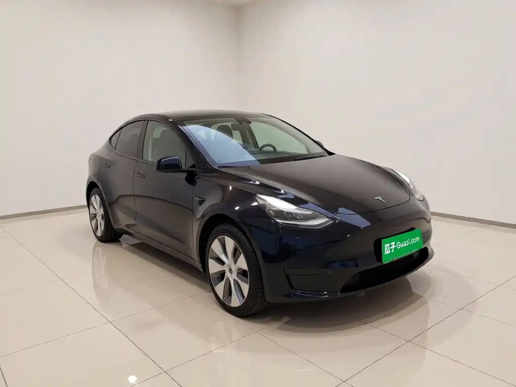 Tesla Model Y — миниатюра 3