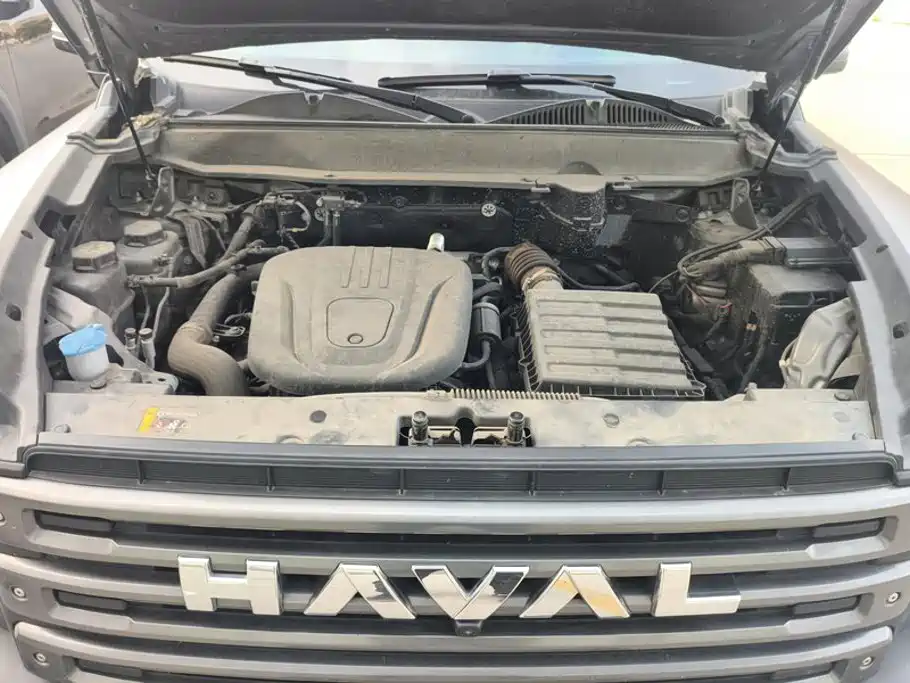 Haval Menglong New Energy — миниатюра 10