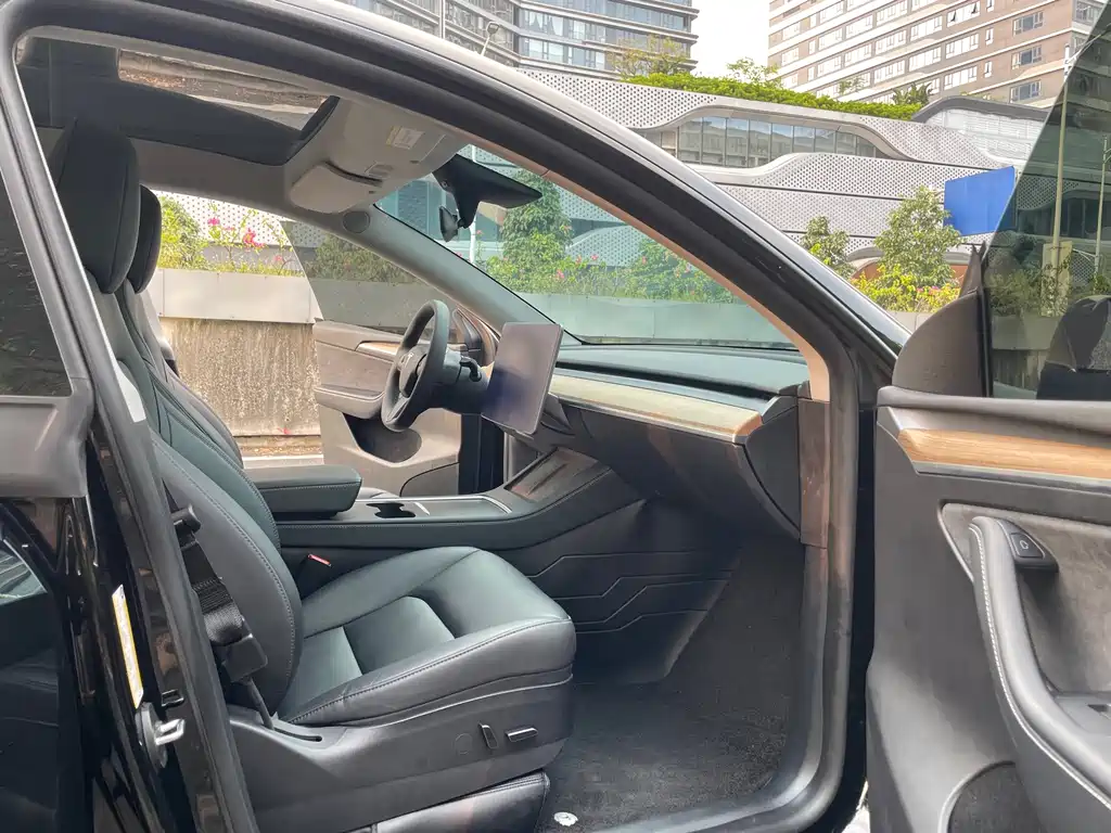 Tesla Model Y — миниатюра 11