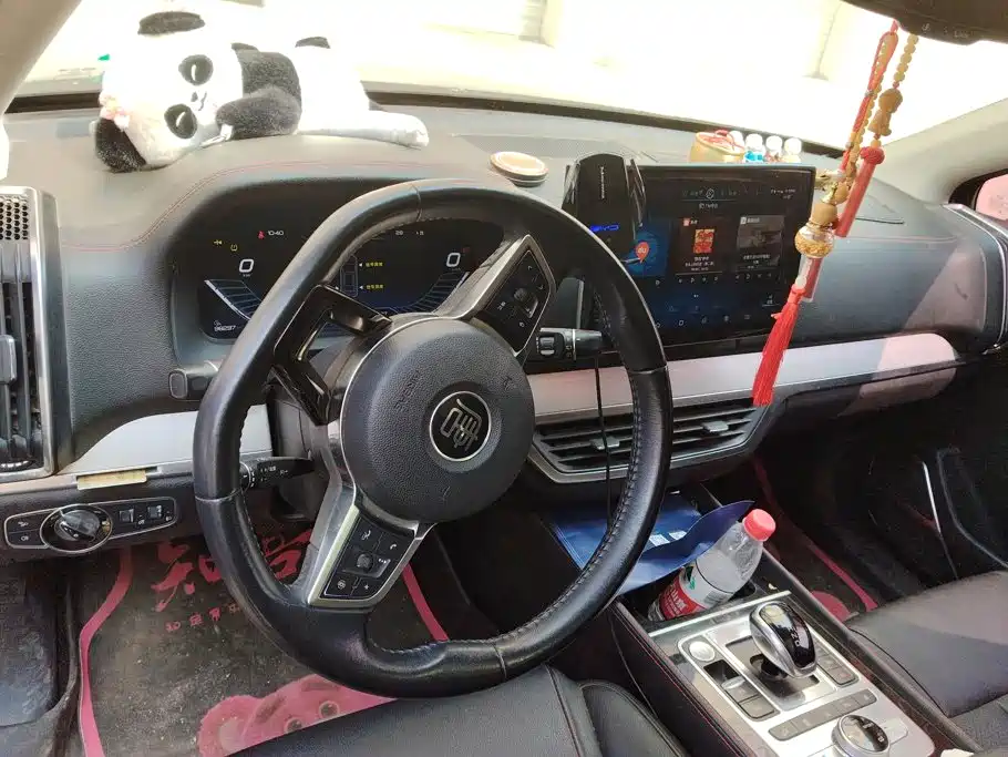 BYD Tang New Energy — миниатюра 12