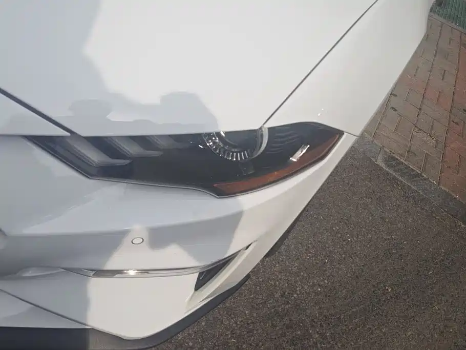 Ford Mustang — миниатюра 5
